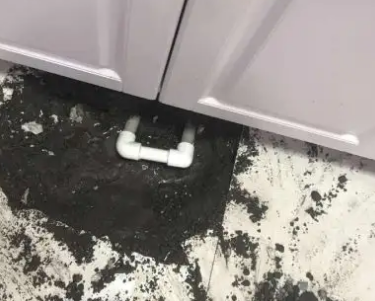宁德市查漏水哪家好